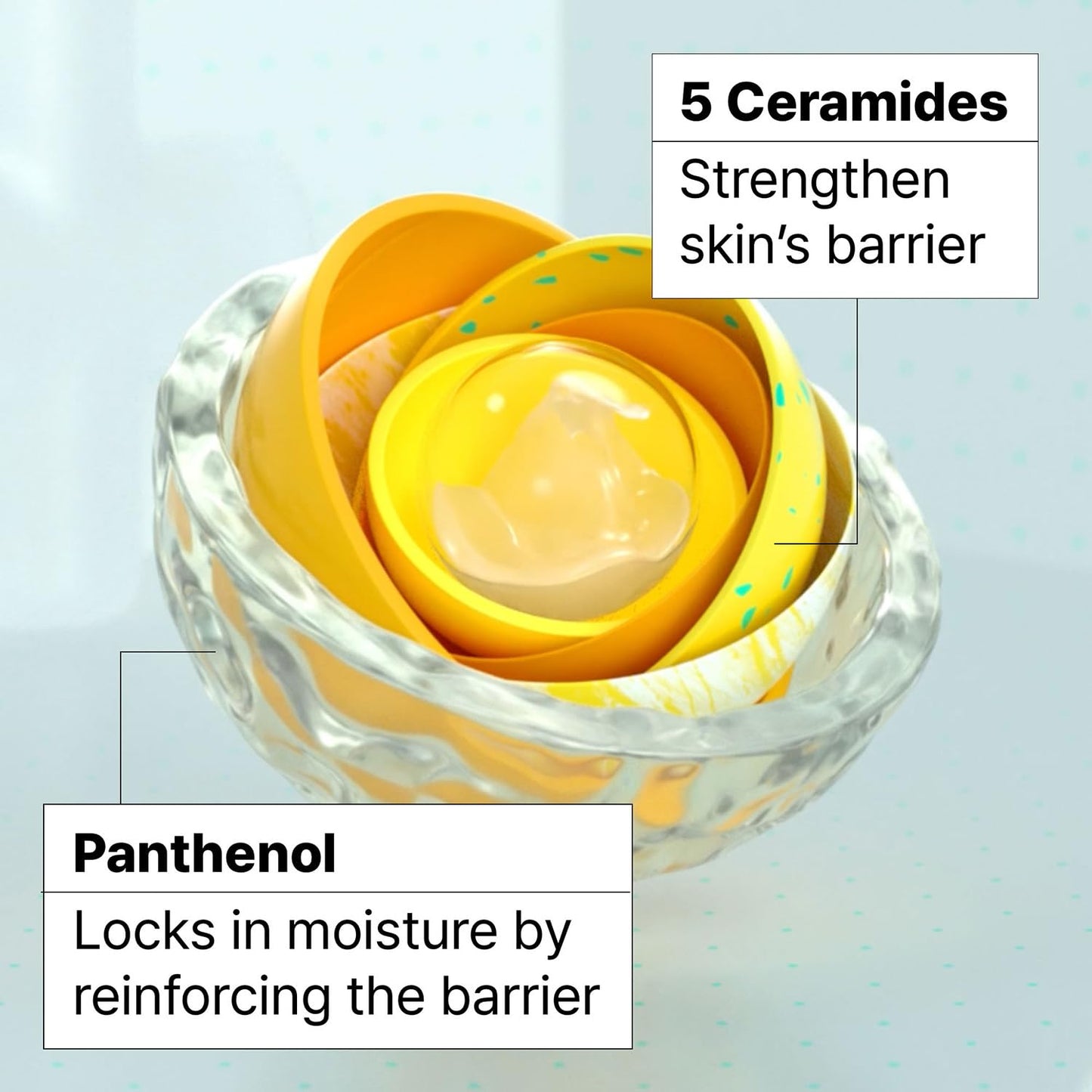 Ceramidin Skin Barrier Face Cream Moisturizer for Dry Skin with Ceramides and Panthenol | Korean Skin Care